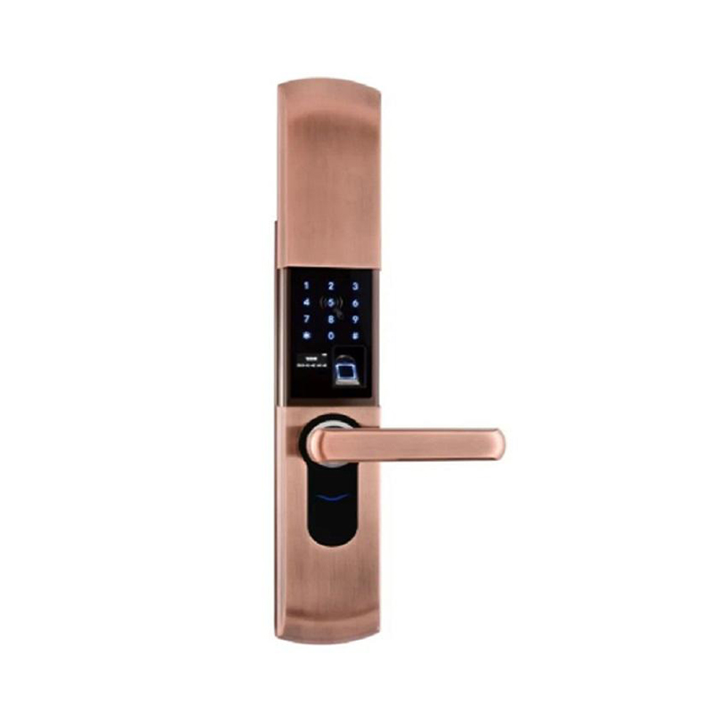 Keyless Entry Fingerprint Smart Door Handle Anti-theft Door Lock