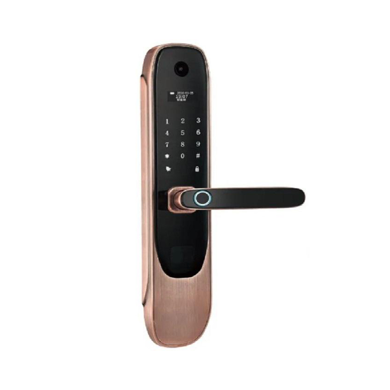 Fingerprint Smart Glass Sliding Door Hook Lock Door Handle With Screen