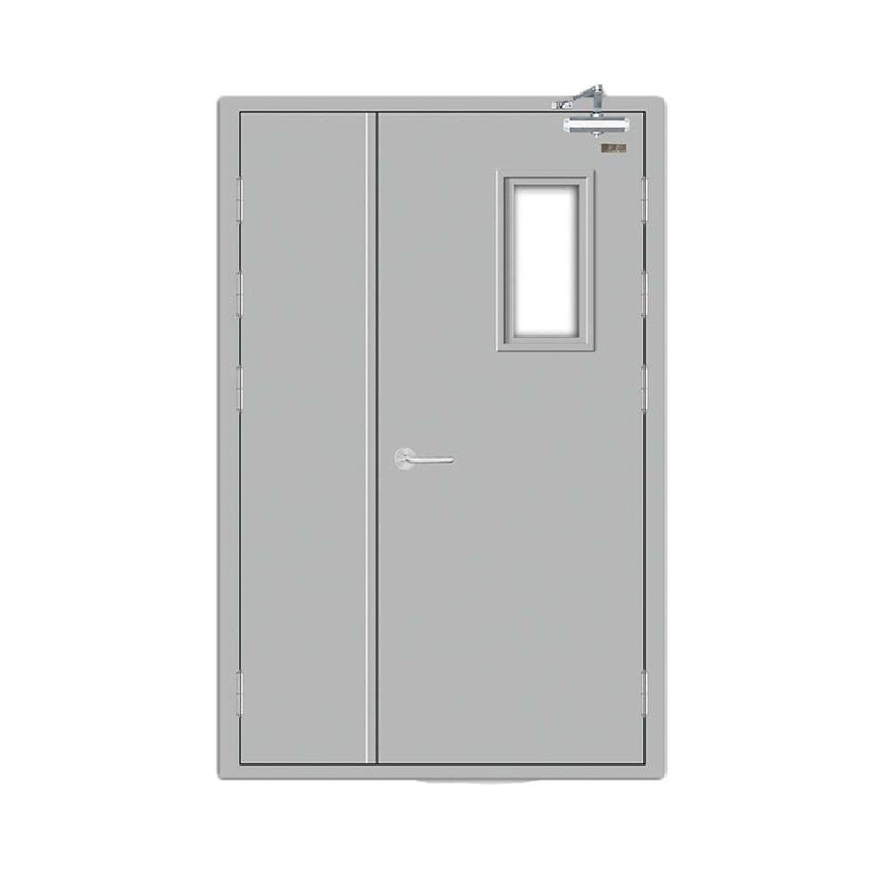 BS Certificate Double Door 0.5h 1h 2h Fireproof Steel Panel Door with Glass