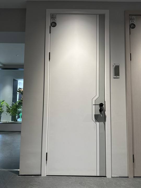 Training Classroom Soundproof Recording Studio Interior WPC Door