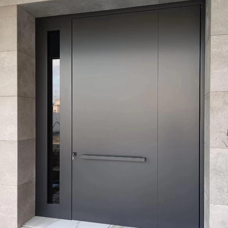 Exterior Metal Gate Pivot Door Modern Galvanized Security Door