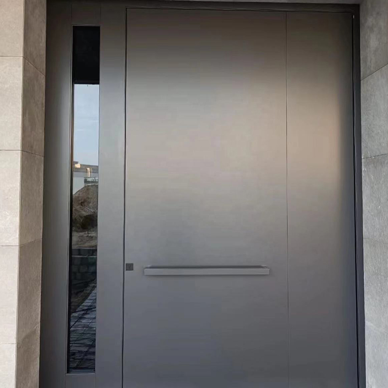 Exterior Metal Gate Pivot Door Modern Galvanized Security Door